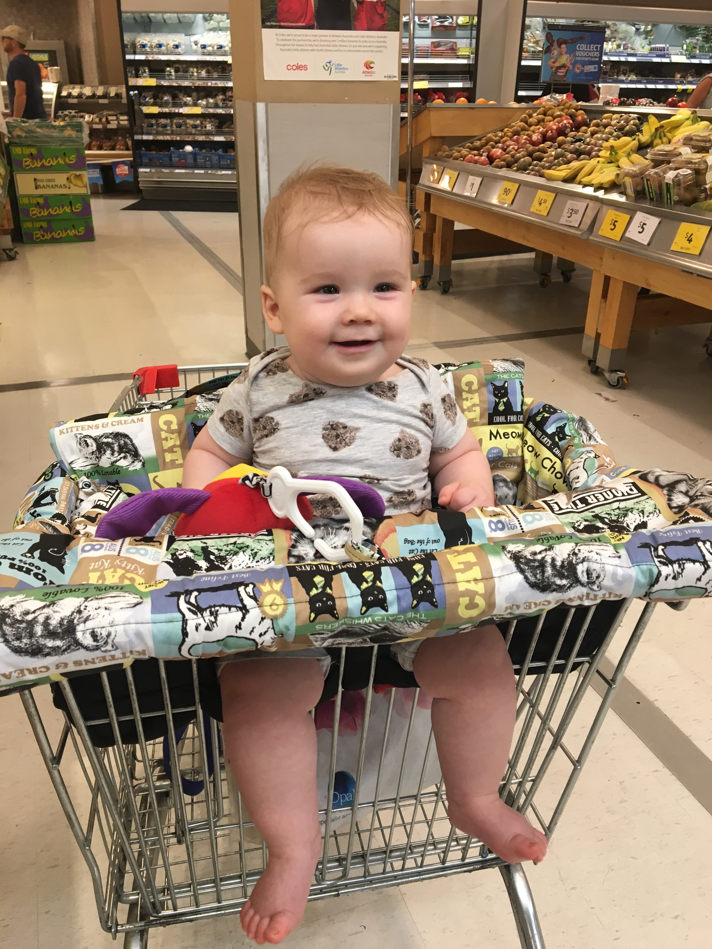 Deluxe Shopping Trolley Seat Covers No More Nasties Trolley Seat Covers